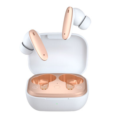 HIFI Noise Cancelling Wireless Bluetooth Earbuds IPX4 Waterproof Dual Chips